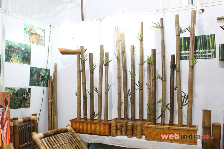 Kerala Bamboo Fest 2016